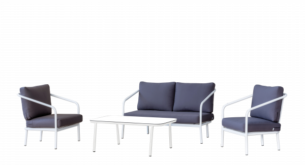 Set de sofá y mesa baja