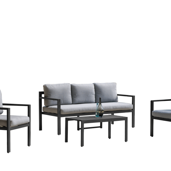 BIRKIN_HONDINA_ANT_8 (1)