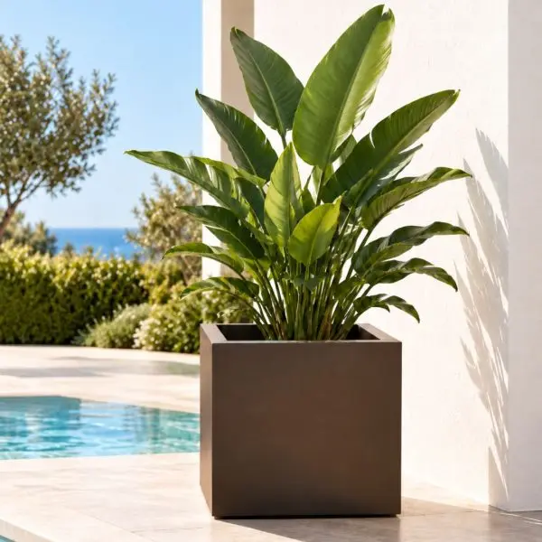 Jardinera grande cuadrada